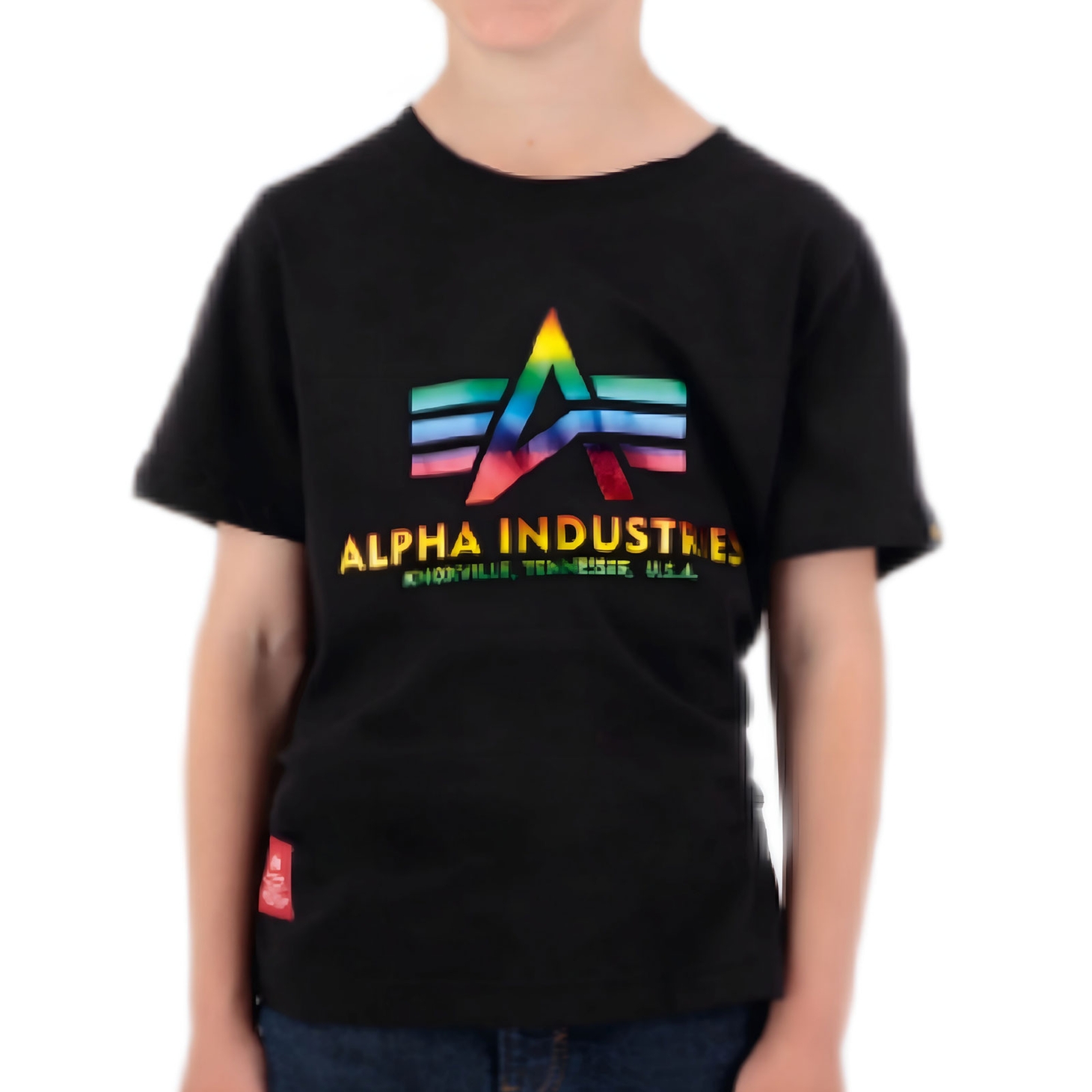 送料込★ALPHA INDUSTRIES★半袖Tシャツ Basic T Rainbow ALPHA INDUSTRIES Basic T Rainbow Reflective | Black - Code