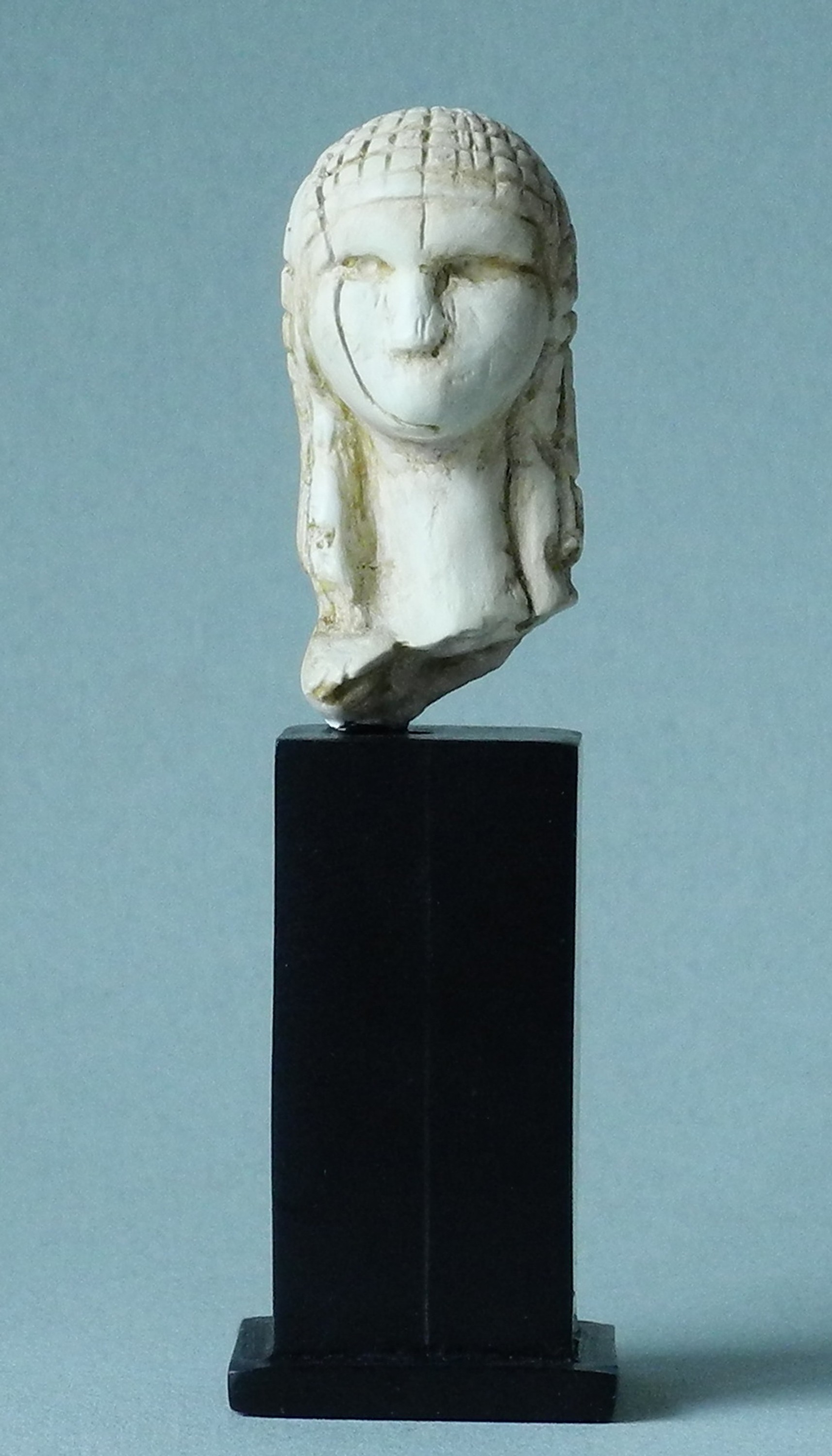 Darwin Monkey Reinhold wolfgang Hugo-Musée sculpture dans geschenkarton