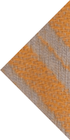 Blog rechts Widget-Bild