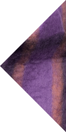 Blog rechts Widget-Bild