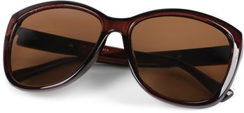 styleBREAKER Damen Oversize Sonnenbrille mit Metall Detail am Bügel, ovalen Polycarbonat Gläsern und Kunststoff Gestell, Retro Style 09020099
