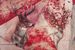 styleBREAKER Damen Loop Schal mit Hirsch Print und geometrischer Einteilung, Schlauchschal mehrfarbig, Tuch 01017131