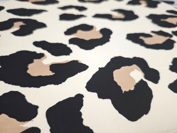 styleBREAKER Halstuch mit Leoparden Animal Print Muster | Vierecktuch mit farbigem Rand | seidig weich und vielseitig tragbar | 70 x 70 cm | Kopftuch Bandana Damen Accessoire