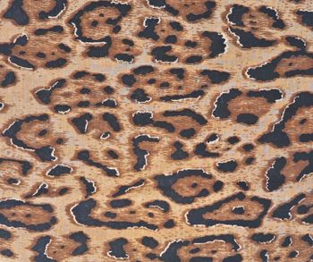 styleBREAKER Damen Schal mit Leoparden Muster und goldenen Metallic Akzenten | weiches langes Tuch mit kurzen Fransen 180 x 88 cm