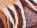 styleBREAKER Damen Webschal mit Karo Muster | Langer Schal mit dicken, langen Fransen | weicher Winter Strickschal warmes Material Stola
