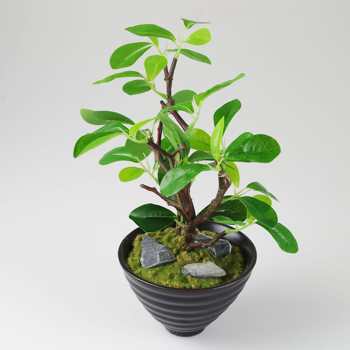 Dekopflanze grün Ficus in Marabella´s Shop Feige Keramikschale 30cm Kunstpflanze Grünpflanze 
