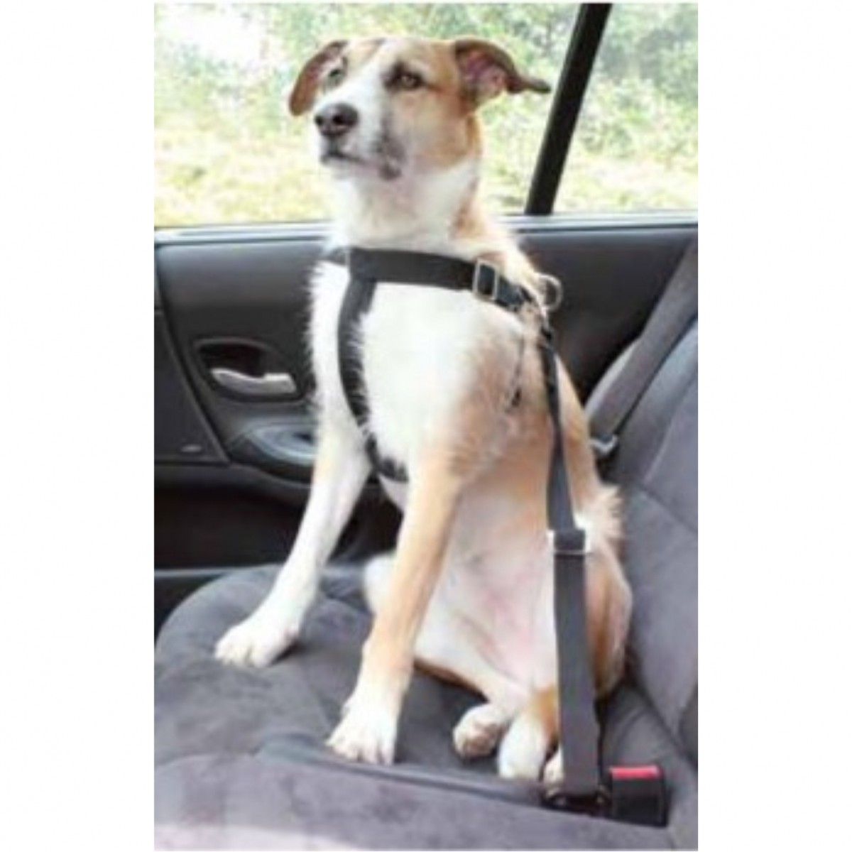 Hunde Sicherheitsgurt 60-75cm Anschnallgurt Verbindungsgurt Auto  Sicherheitsgurt