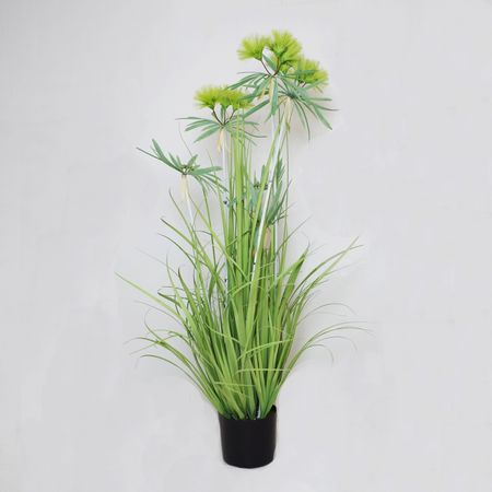 weiß grüne blätter zimmerpflanze Philodendron Xanadu Zimmerpflanze 60cm – grüne Blattpflanze im Potter main image 1