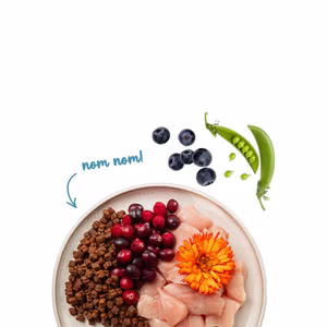 Sanabelle Life Kitten Huhn Preiselbeeren 2kg