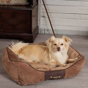 Scruffs Chester Box Bed Hundebett Braun