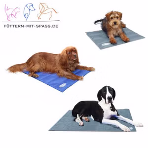 Scruffs Cool Mat Hunde Kühlmatte für Hunde Stück Blau
