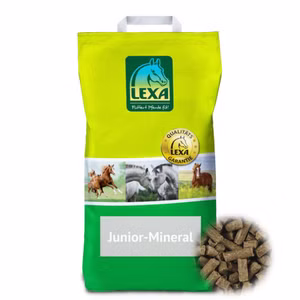 Lexa Junior Mineral für Pferde 4,5kg