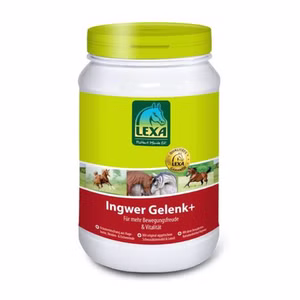 Lexa Ingwer Gelenk Plus für Pferde 1kg
