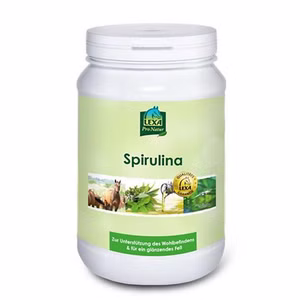 Lexa Spirulina für Pferde 1kg-Dose