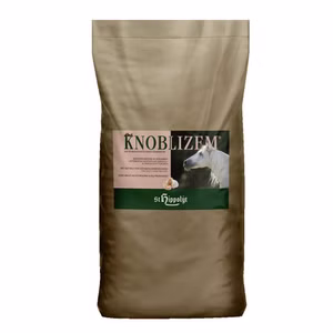 St Hippolyt Knoblizem für Pferde 3kg