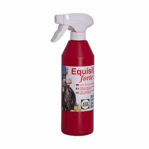 Stassek Equisit forte  500ml ohne Sprühkopf