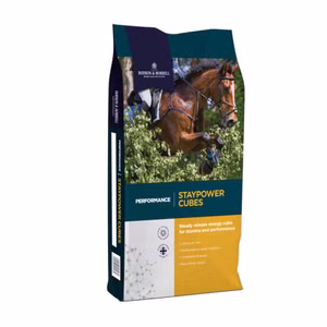 Dodson & Horrell Staypower Cubes für Pferde 20kg