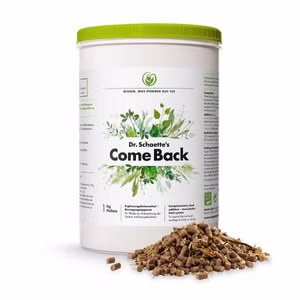 Dr. Schaette Come Back für Pferde 1kg