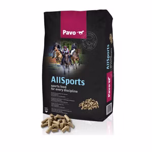 Pavo AllSports für Pferde 20kg