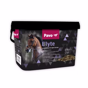 Pavo Elyte Elektrolyte für Pferde 3kg