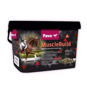 Pavo MuscleBuild für Pferde 3kg