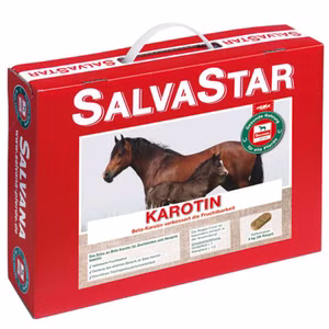 Salvana SalvaStar Karotin 5kg