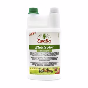 Ewalia Elektrolyt 3 Liter