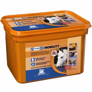 Derby Horslyx Leckmasse Mobility für Pferde 5kg