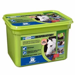Derby Horslyx Leckmasse Respiratory für Pferde 5kg