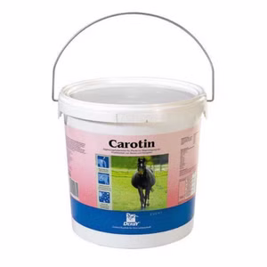 Derby Carotin für Pferde 5kg