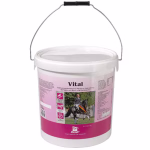 Derby Vital für Pferde 7,5kg