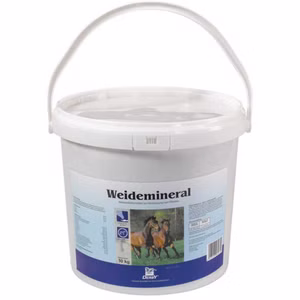 Derby Weidemineral für Pferde 10kg