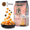 Leonardo Adult GF Salmon für Katzen 300g