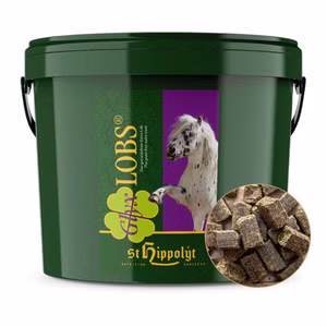 St Hippolyt Glyx Lobs für Pferde 10kg