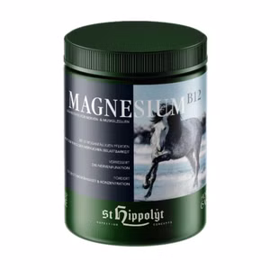 St Hippolyt Magnesium B12 für Pferde 1kg