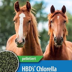 HBDs Chlorella Pyrenoidosa Pellets für Pferde 500g