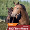HBDs HorseMineral MBA frei für Pferde 3kg Pellets