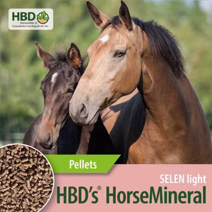 HBDs HorseMineral Selen light MBA frei für Pferde 3kg