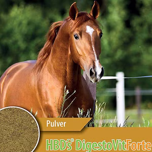 HBDs DigestoVit Forte 2kg