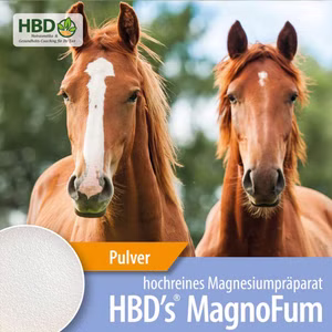 HBDs MagnoFum für Pferde 500g
