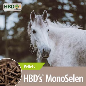 HBDs Mono Selen pur 1kg