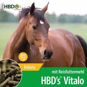 HBDs Vitalo Reis 10kg
