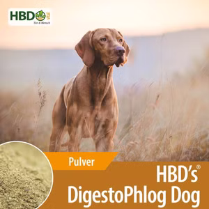 HBDs DigestoPhlog Dog für Hunde 500g