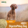 HBDs DigestoPhlog Dog für Hunde 500g