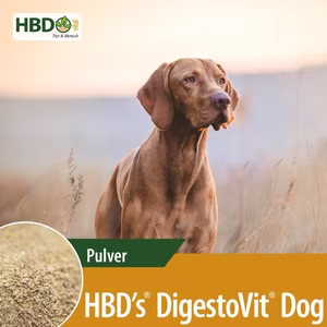 HBDs DigestoVit Dog für Hunde 500g
