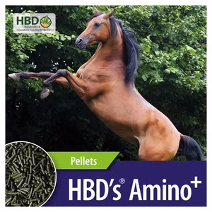 HBDs Amino plus für Pferde 1kg
