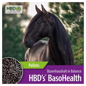 HBDs BasoHealth für Pferde 1kg