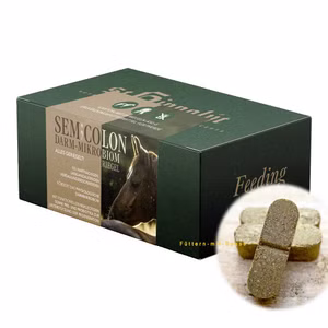 St Hippolyt Semicolon für Pferde 28x50g