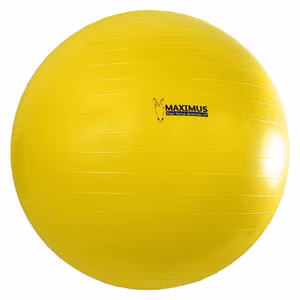 MAXIMUS Ball Power Play für Pferde 100cm 