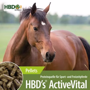 HBD ActiveVital 10kg